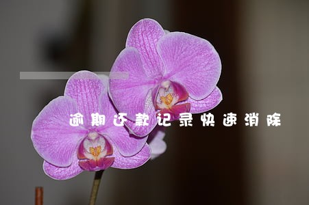 逾期还款记录快速消除 逾期还款记录快速消除