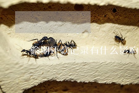逾期还款记录有什么影响