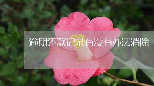 逾期还款记录有没有办法消除 逾期还款记录有没有办法消除