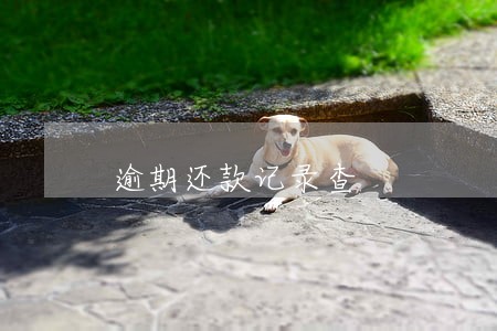 逾期还款记录查 逾期还款记录查