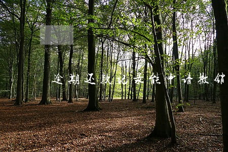 逾期还款记录能申请撤销么 逾期还款记录能申请撤销么