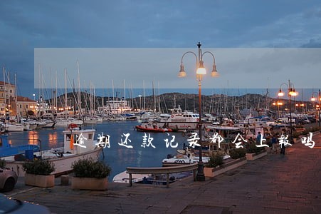 逾期还款记录都会上报吗
