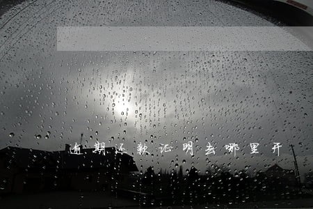 逾期还款证明去哪里开