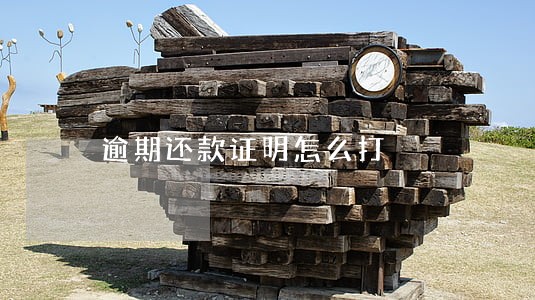 逾期还款证明怎么打