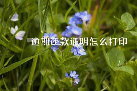 逾期还款证明怎么打印