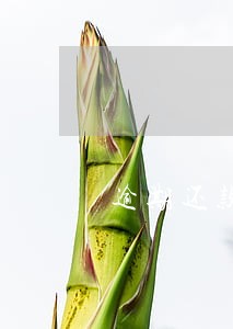 逾期还款证明是什么