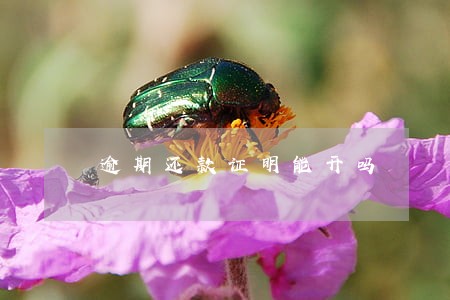 逾期还款证明能开吗 逾期还款证明能开吗