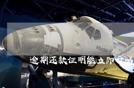 逾期还款证明能立即开吗