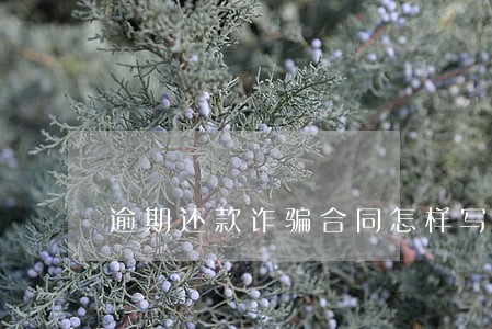 逾期还款诈骗合同怎样写