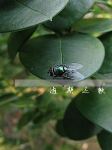 逾期还款误区怎么解决 逾期还款误区怎么解决