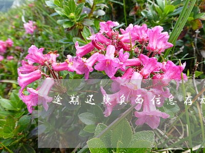 逾期还款负面信息存放时间 逾期还款负面信息存放时间