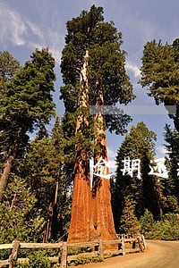 逾期还款负面记录时间 逾期还款负面记录时间