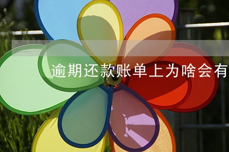 逾期还款账单上为啥会有传票号 逾期还款账单上为啥会有传票号