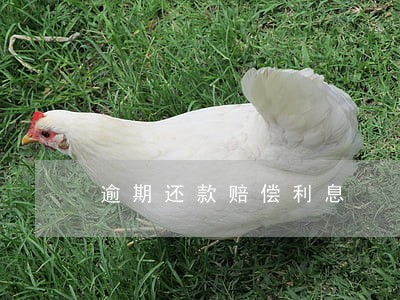 逾期还款赔偿利息 逾期还款赔偿利息