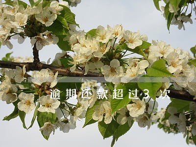 逾期还款超过3次 逾期还款超过3次