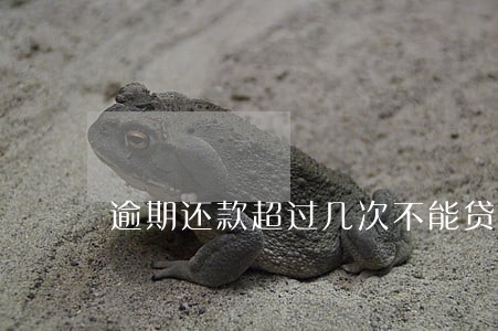 逾期还款超过几次不能贷款 逾期还款超过几次不能贷款