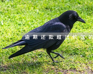 逾期还款超过约定的次数 逾期还款超过约定的次数