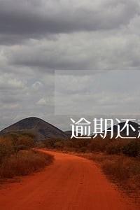 逾期还款车贷吗 逾期还款车贷吗