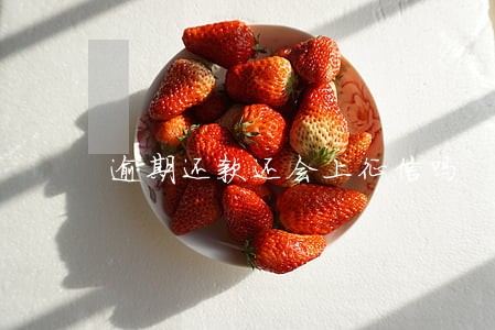 逾期还款还会上征信吗 逾期还款还会上征信吗