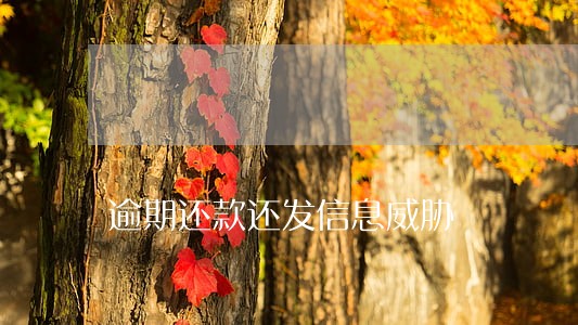 逾期还款还发信息威胁 逾期还款还发信息威胁