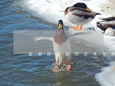 逾期还款还得是本金还是