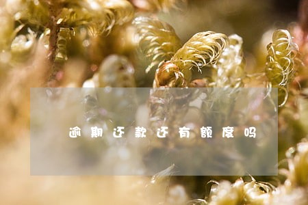 逾期还款还有额度吗 逾期还款还有额度吗
