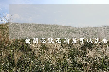 逾期还款还清后可以注册公司 逾期还款还清后可以注册公司
