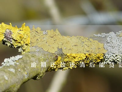 逾期还款还清后能贷款买房的 逾期还款还清后能贷款买房的