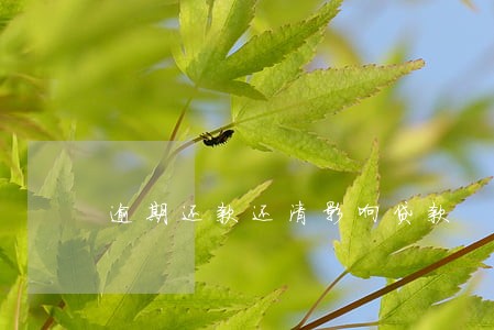 逾期还款还清影响贷款 逾期还款还清影响贷款