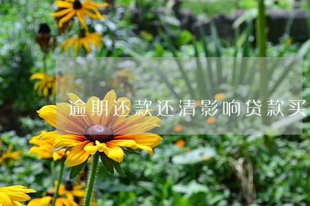 逾期还款还清影响贷款买房 逾期还款还清影响贷款买房