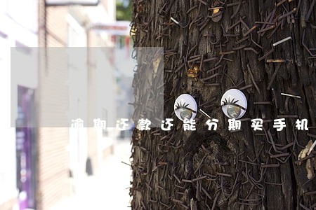 逾期还款还能分期买手机吗 逾期还款还能分期买手机吗