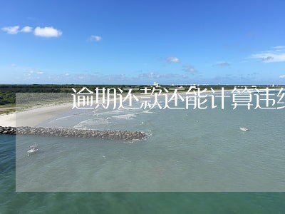 逾期还款还能计算违约金吗 逾期还款还能计算违约金吗
