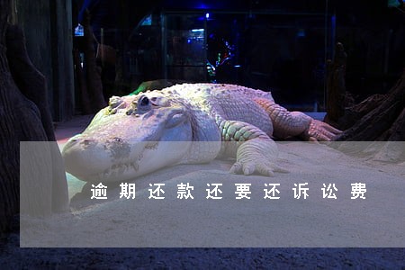 逾期还款还要还诉讼费 逾期还款还要还诉讼费