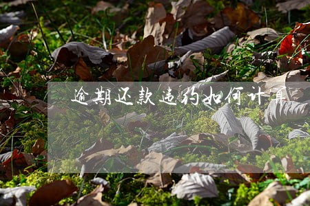逾期还款违约如何计算