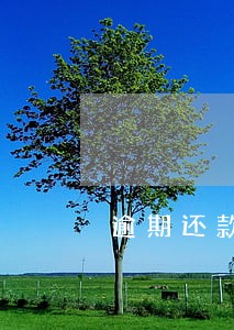 逾期还款违约是真的吗 逾期还款违约是真的吗