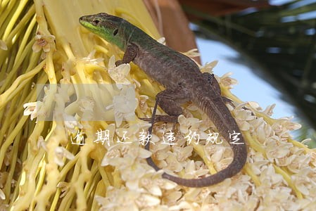 逾期还款违约规定 逾期还款违约规定