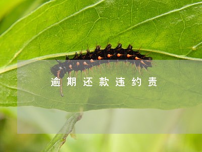逾期还款违约责 逾期还款违约责