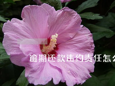 逾期还款违约责任怎么计算