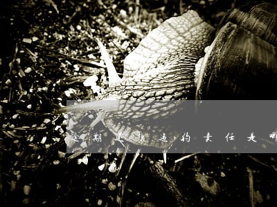 逾期还款违约责任是哪些