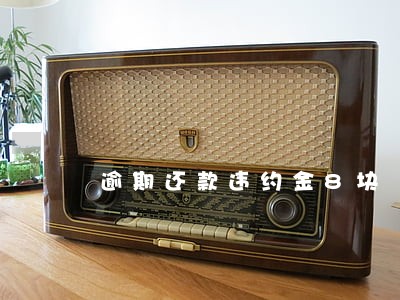 逾期还款违约金8块