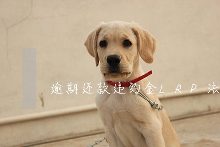 逾期还款违约金LRP法律规定 逾期还款违约金LRP法律规定