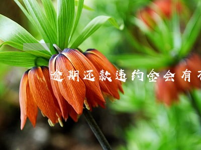 逾期还款违约金会有不良信用么 逾期还款违约金会有不良信用么