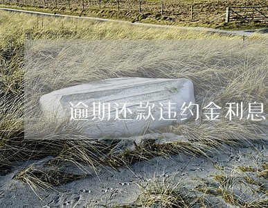 逾期还款违约金利息 逾期还款违约金利息