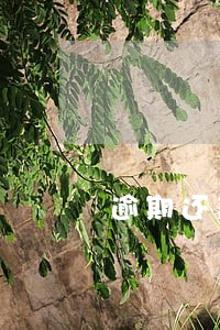 逾期还款违约金可以调解嘛 逾期还款违约金可以调解嘛