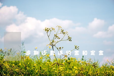 逾期还款违约金和定金 逾期还款违约金和定金