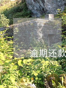 逾期还款违约金征信