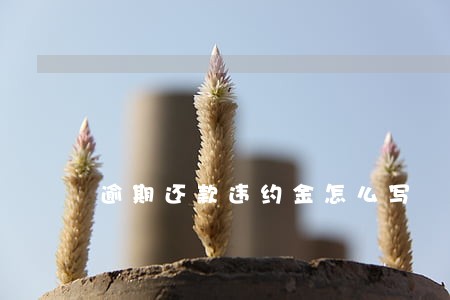 逾期还款违约金怎么写 逾期还款违约金怎么写