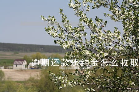 逾期还款违约金怎么收取 逾期还款违约金怎么收取