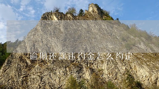 逾期还款违约金怎么约定 逾期还款违约金怎么约定