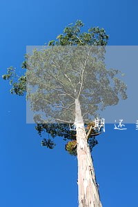 逾期还款违约金怎么退回 逾期还款违约金怎么退回